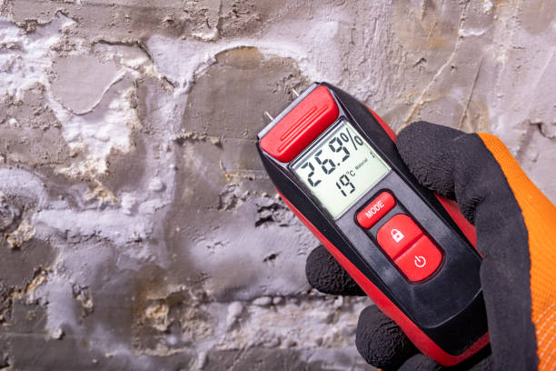Trusted Alvarado, TX Mold Remediation Experts