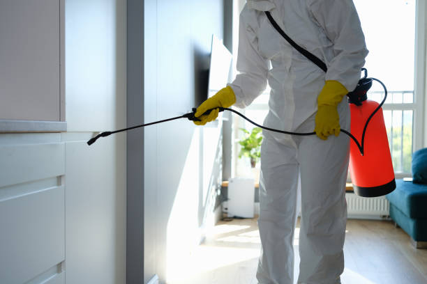 Best Mold Remediation for Specific Building Types in Alvarado, TX