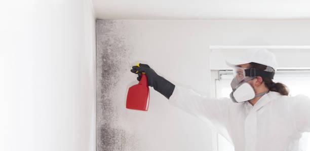 Best Crawl Space Mold Remediation in Alvarado, TX